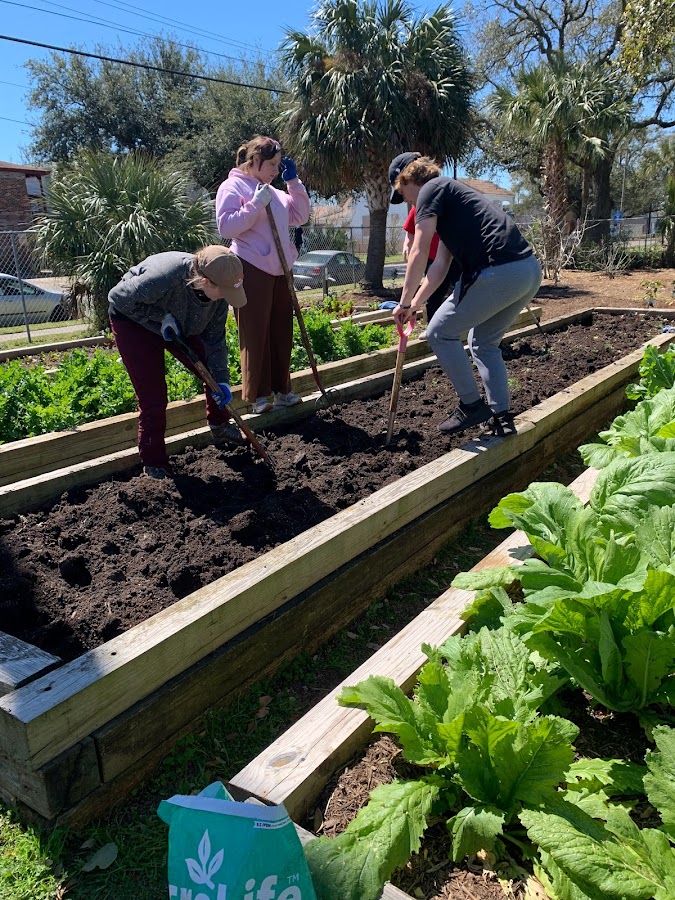 Doane students working a community garden plot